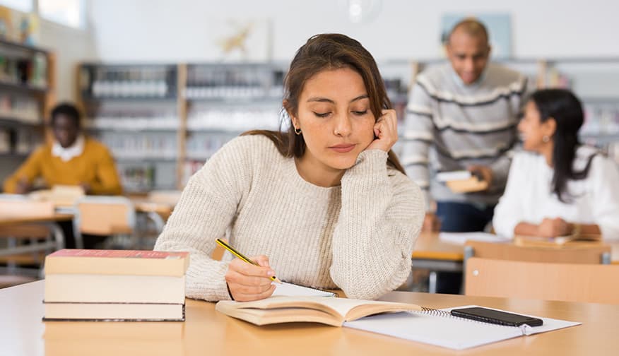 Adult Education language class