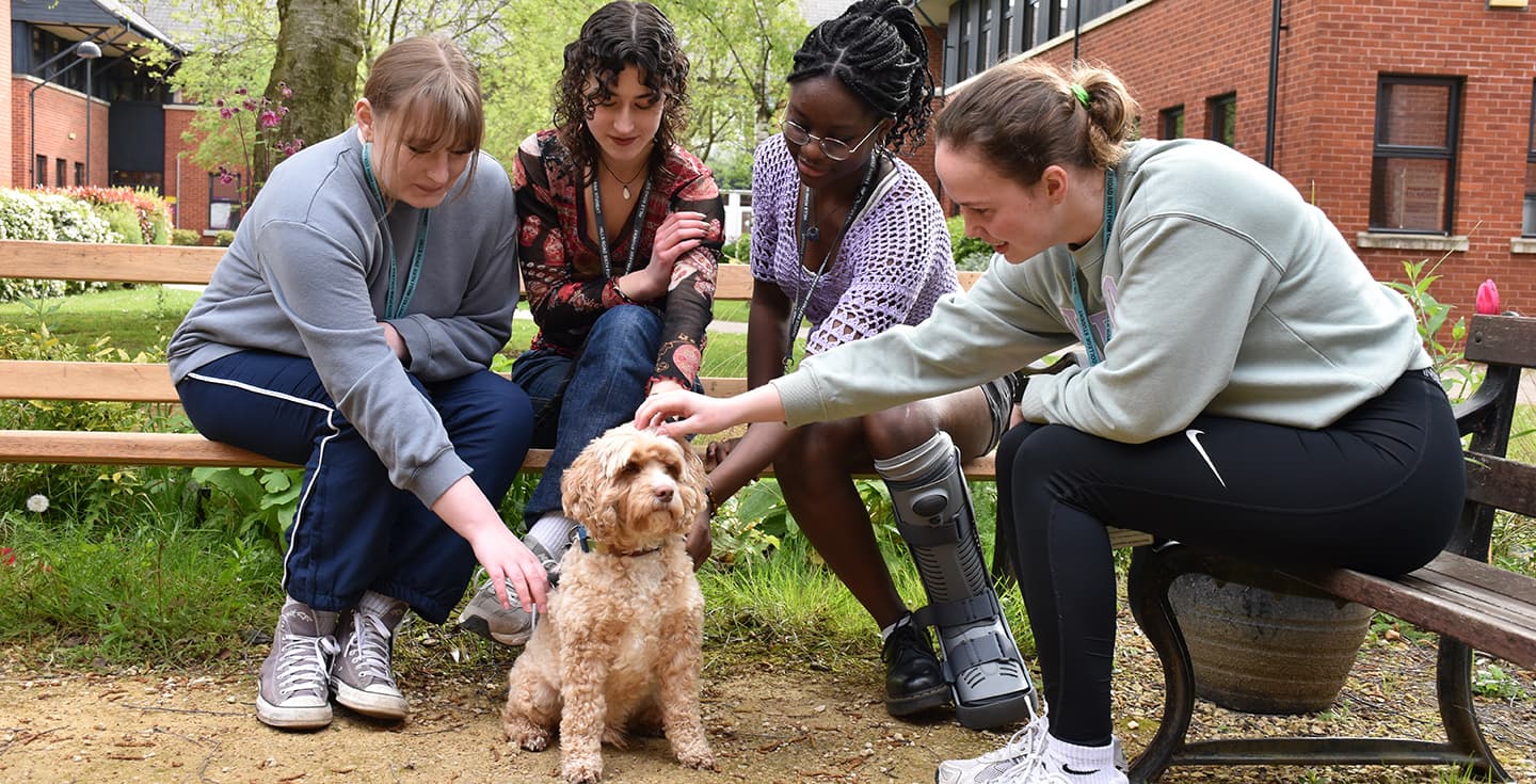 Students with Milo the Wellbeing dog