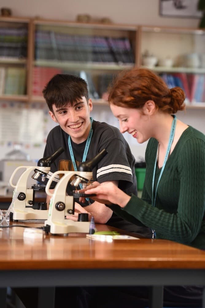 Students working on an experiment